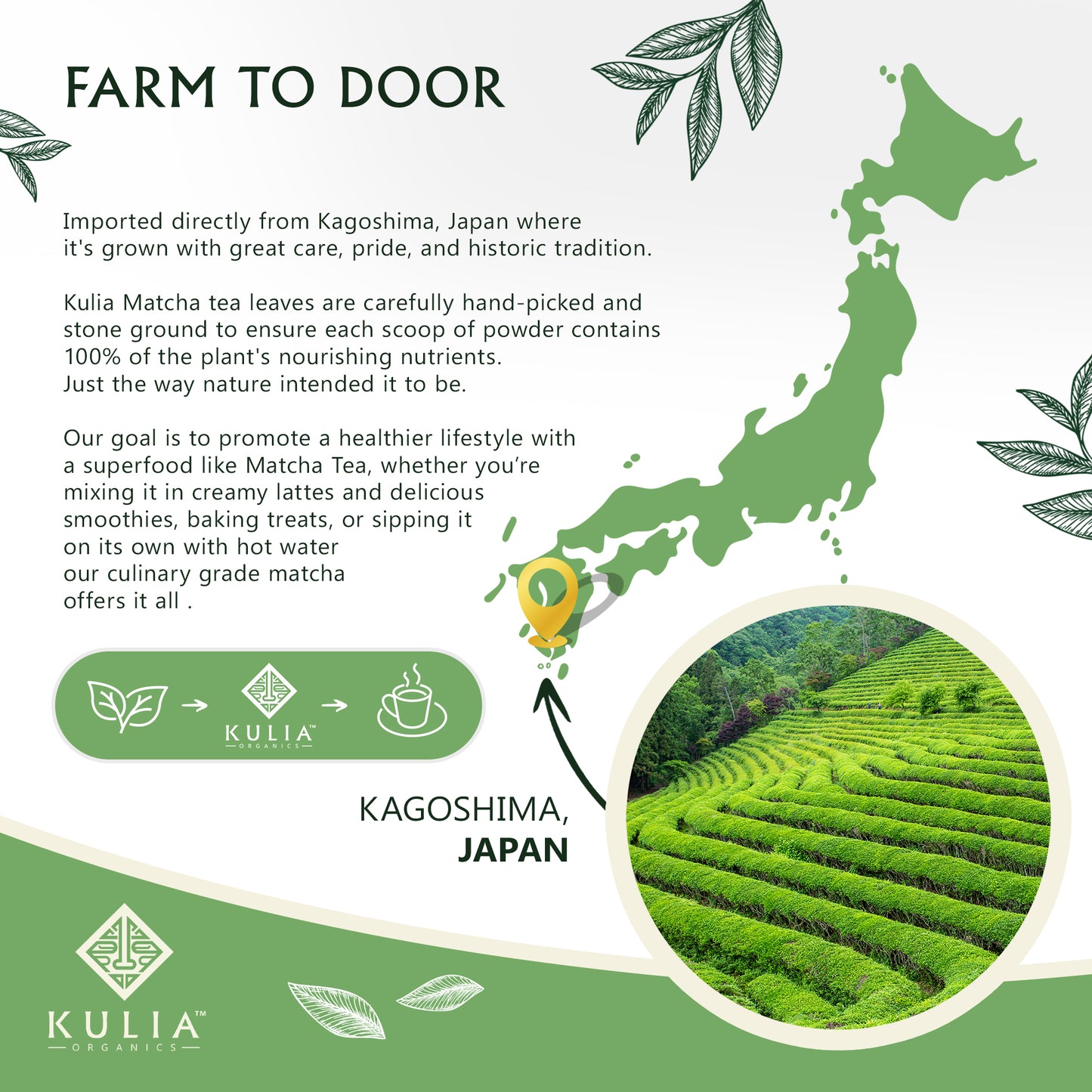 Farm To Door Infomative image showcasing the location of matcha origin